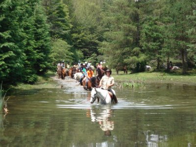 Realiza una excursión a caballo en Álava